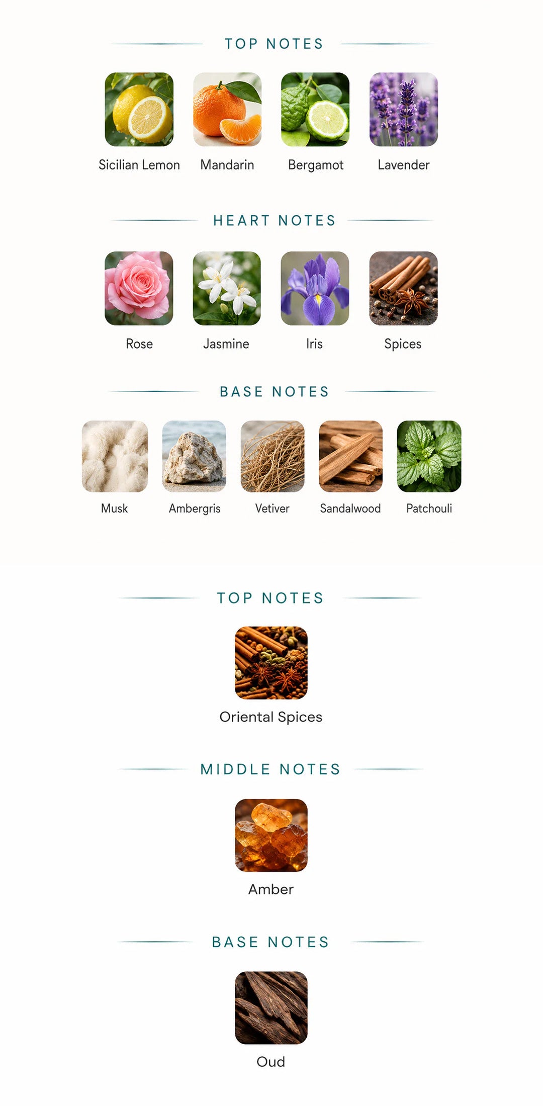 Fragrance notes