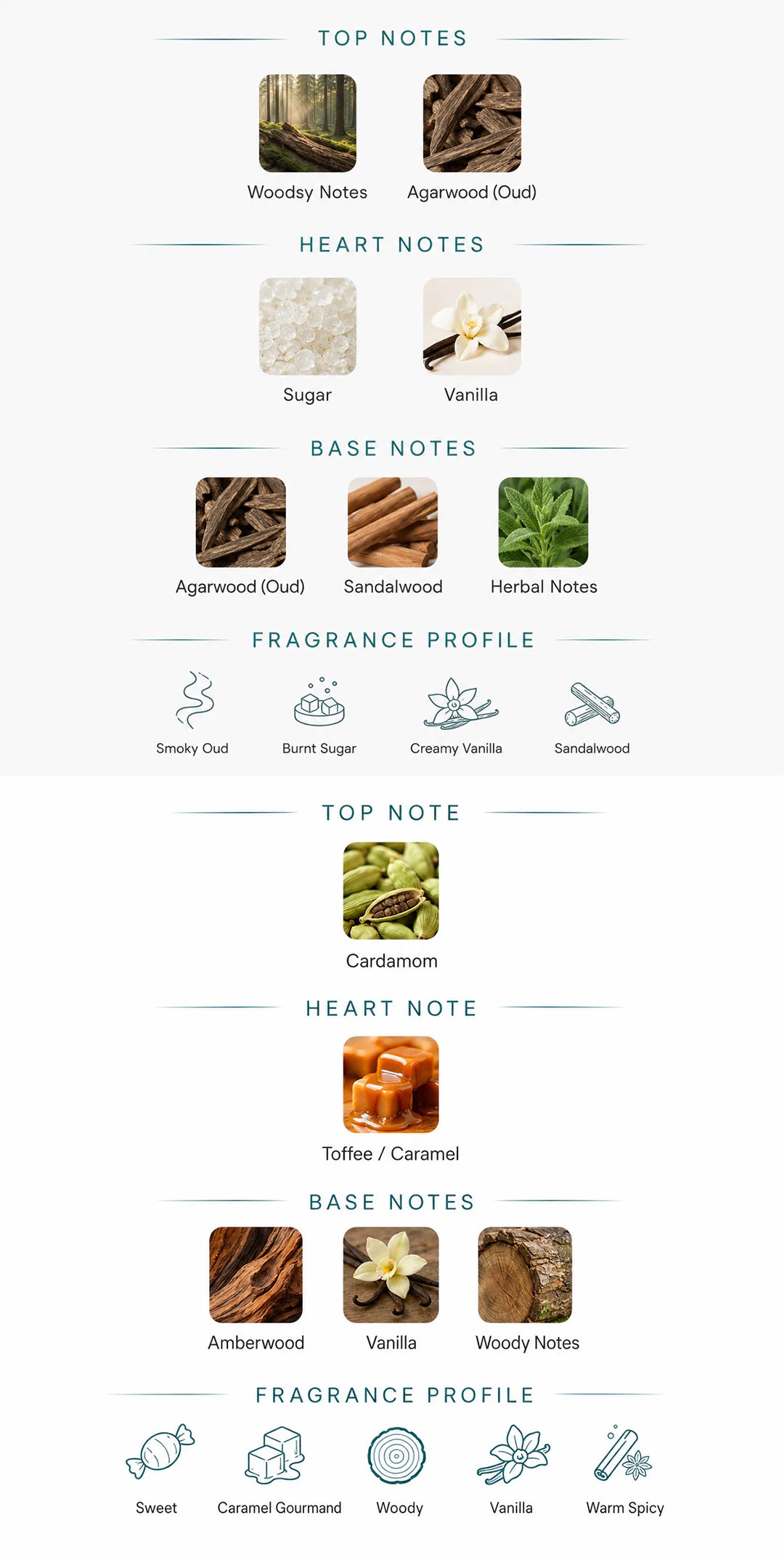 Fragrance notes